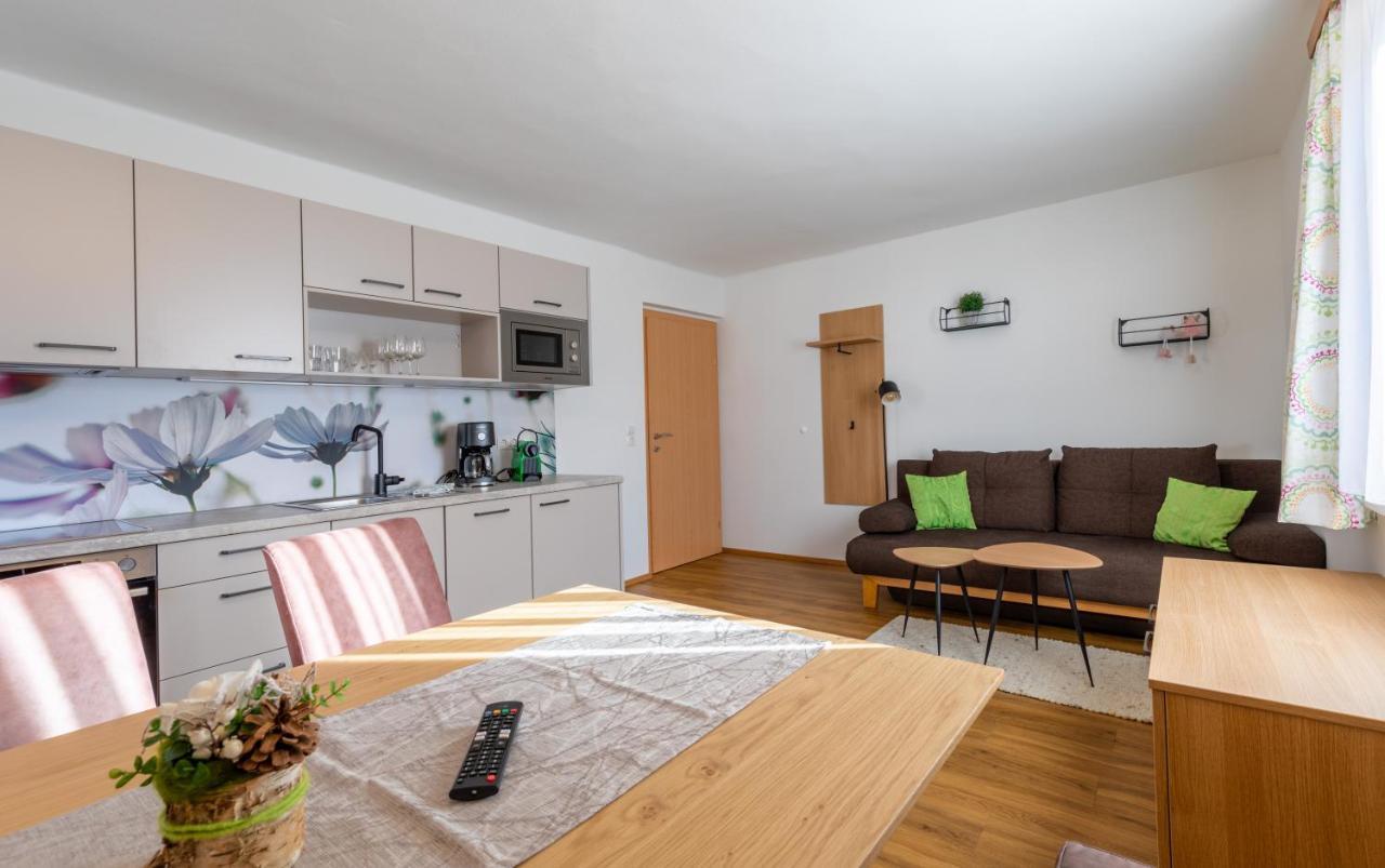 Haus Pitzer/Apartments Troicher Schladming Extérieur photo
