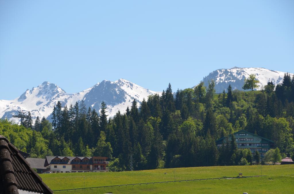 Haus Pitzer/Apartments Troicher Schladming Chambre photo